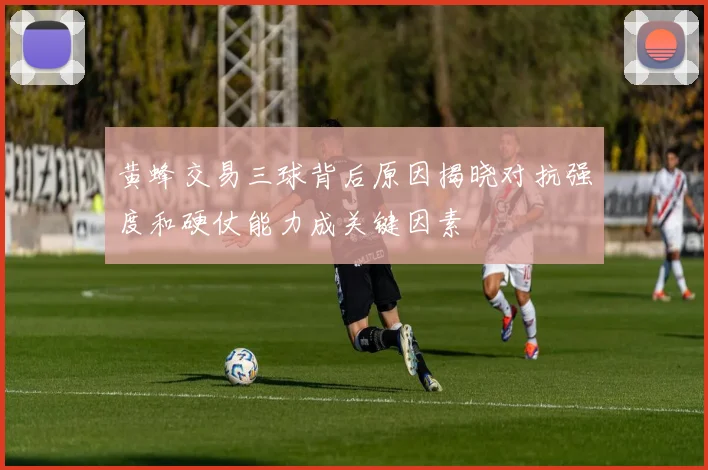 黄蜂交易三球背后原因揭晓对抗强度和硬仗能力成关键因素